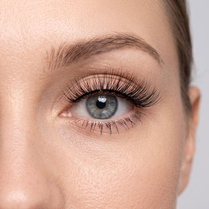 VYRA Soft Magnetic Eyelashes - No.12 Luxe Volume Fan